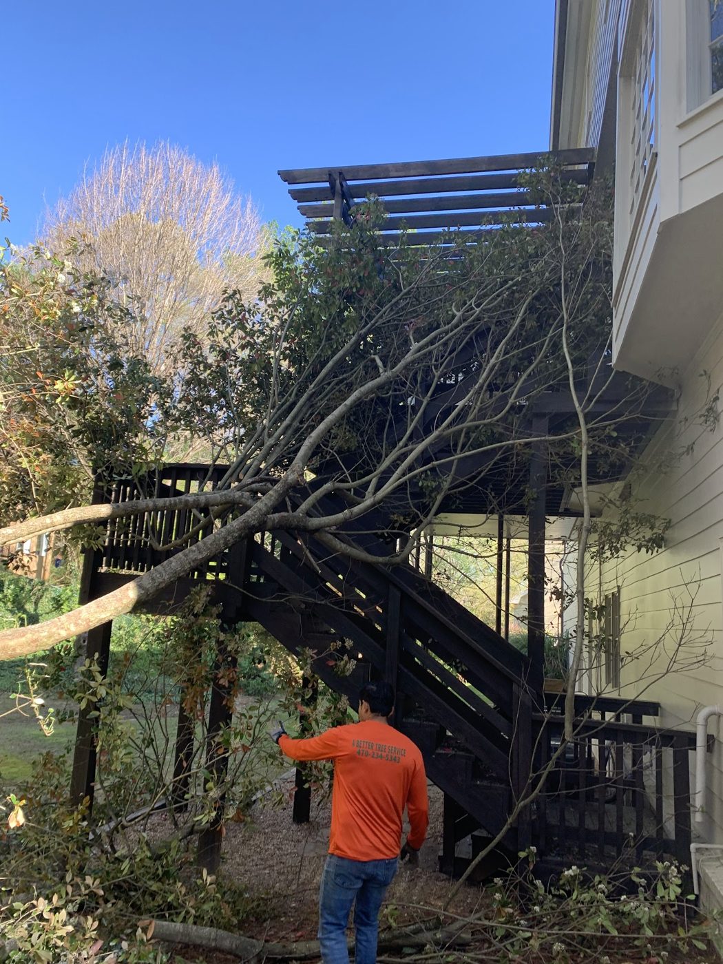 Removing a fallen tree from a deck
